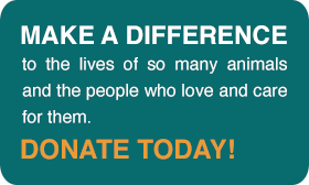 Donate to All Creatures Sanctuary today!