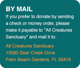 Donate by mail to All Creatures Sanctuary,13580 Deer Creek Drive,Palm Beach Gardens, FL 33418
