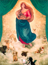 The Madonna And Puppy Mill  by Susan Saladino 